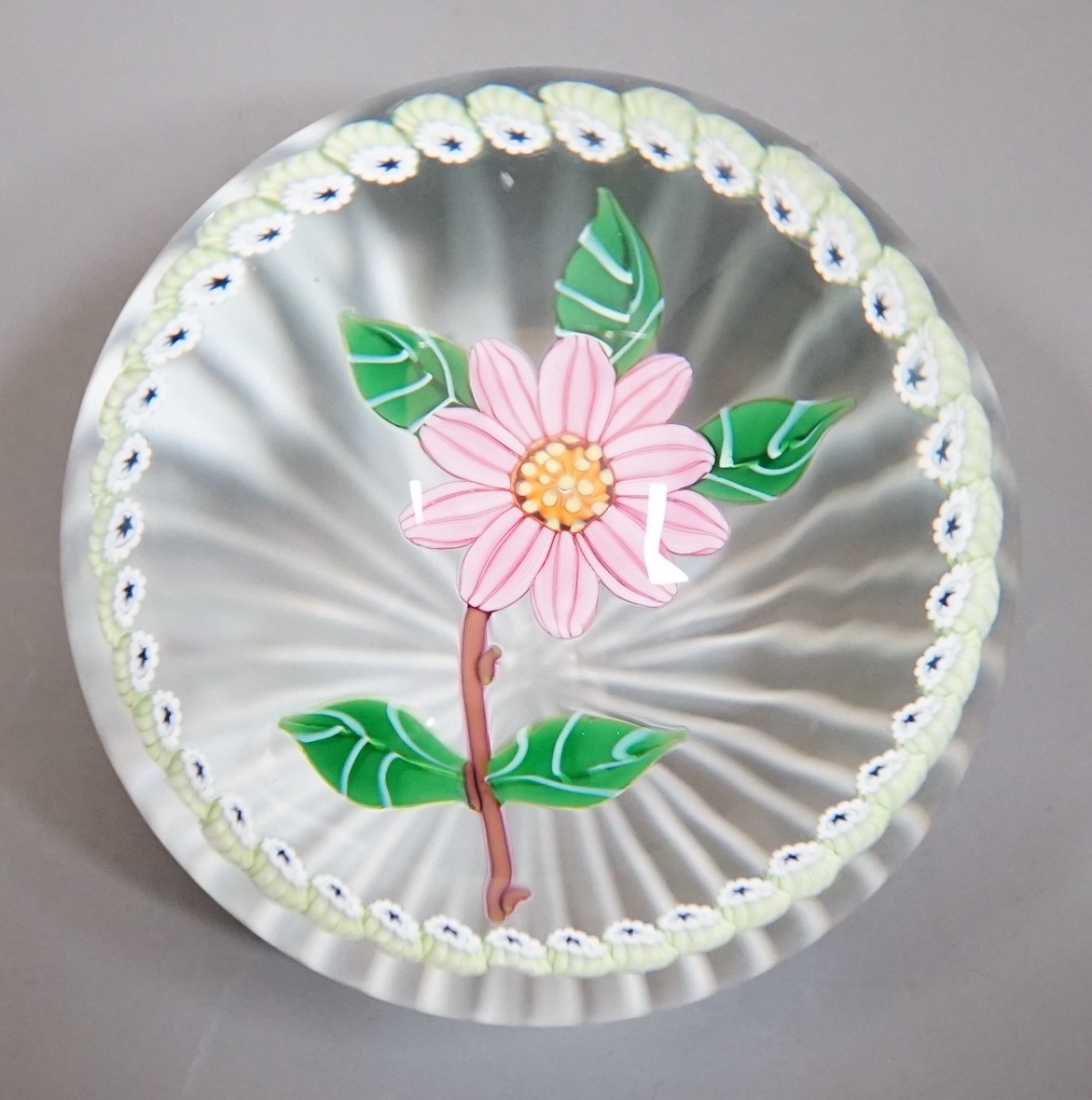 A Caithness pink camelia glass paperweight, no.94/250
